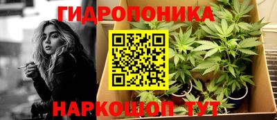 метадон Кимры