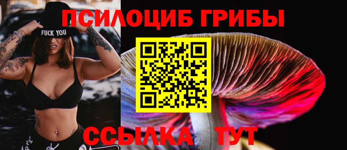 Псилоцибиновые грибы ЛСД  наркотики  Узловая  Вход с VPN 